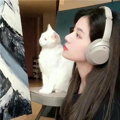 桃花坞开放中